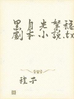 黑月光拿稳be剧本小说.txt