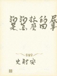 狗狗拉的尿很黄是怎么回事