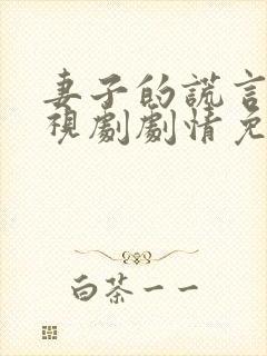 妻子的谎言 电视剧剧情免费观看