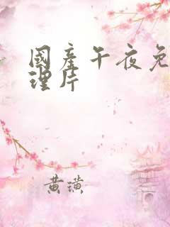 国产午夜免费伦理片