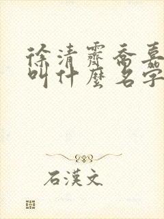 徐清霁乔嘉小说叫什么名字