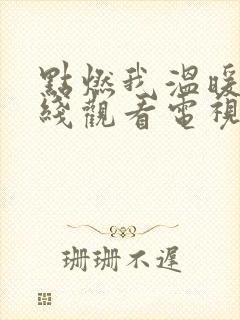 点燃我温暖你在线观看电视剧免费