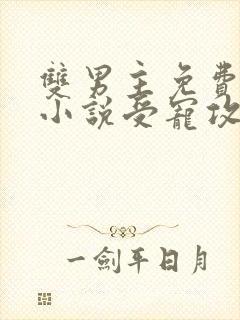 双男主免费阅读小说受宠攻海棠文