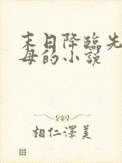 末日降临先杀圣母的小说