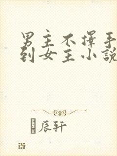 男主不择手段得到女主小说