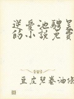 逆爱池骋吴所畏的小说免费阅读