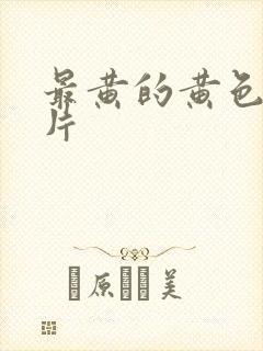 最黄的黄色一级片