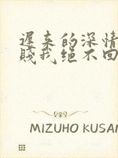 迟来的深情比草贱我绝不回头许安全文阅读