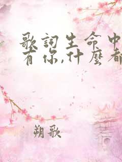 歌词生命中只要有你,什么都变得可以