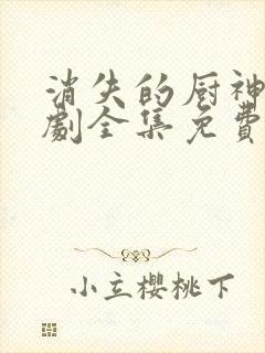 消失的厨神电视剧全集免费观看