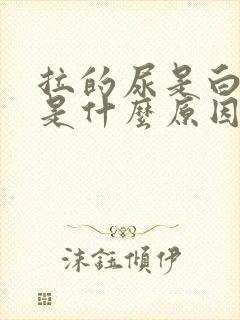 拉的尿是白色的是什么原因