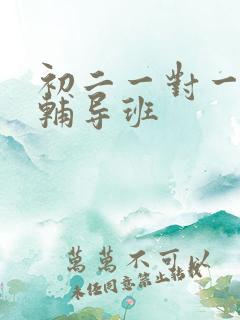 初二一对一补习辅导班