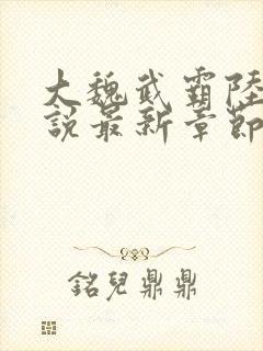 大魏武霸陆泽小说最新章节