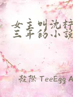 女主叫沈柠结婚三年的小说