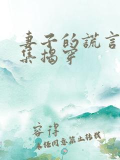 妻子的谎言第几集揭穿