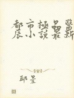 都市极品医神叶辰小说最新章节