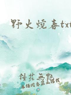 野火烧春txt