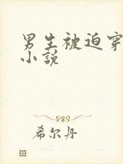 男生被迫穿女装小说