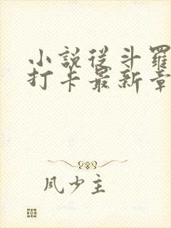 小说从斗罗开始打卡最新章节