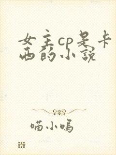 女主cp是卡卡西的小说