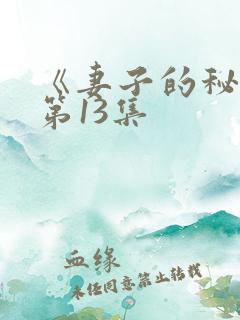 《妻子的秘密》第13集