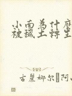 小南为什么没有被秽土转生