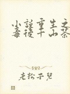 小说重生之将门毒后千山茶客完全版