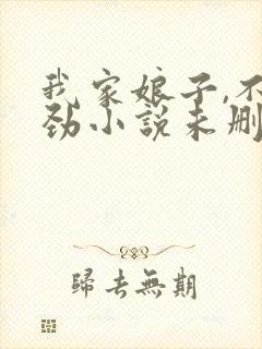 我家娘子,不对劲小说未删版完整