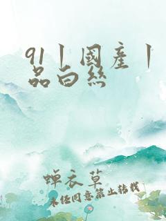 91丨国产丨精品白丝