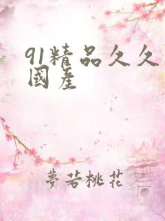 91精品久久久国产