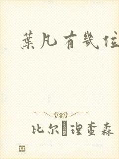 叶凡有几位老婆