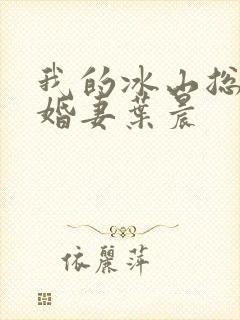 我的冰山总裁未婚妻叶晨