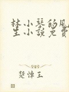 林小琴的风流人生小说免费阅读全文