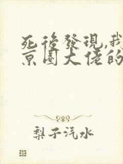 死后发现,我是京圈大佬的白月光免费