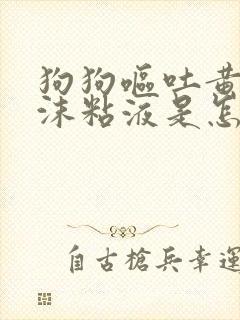 狗狗呕吐黄水泡沫粘液是怎么回事儿