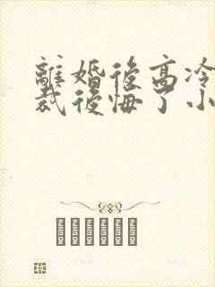 离婚后高冷女总裁后悔了小说