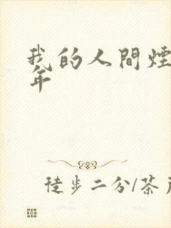 我的人间烟火过年