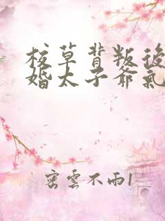 校草背叛后我闪婚太子爷气疯他苏念笙阅读