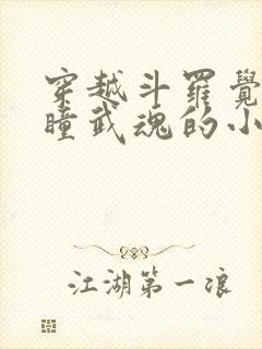 穿越斗罗觉醒重瞳武魂的小说