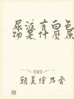 尿液有白色絮状物是什么原因