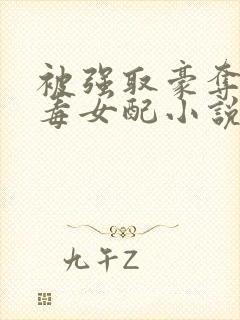 被强取豪夺的恶毒女配小说