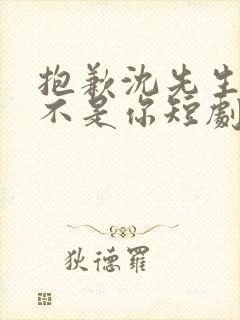 抱歉沈先生孩子不是你短剧