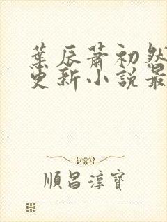 叶辰萧初然最快更新小说最新章节