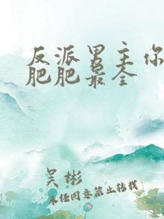 反派男主你好坏肥肥最全