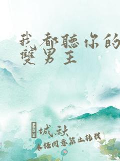 我都听你的小说双男主