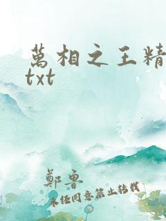 万相之王精校版txt