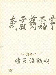 太子爷不爱我那我就闪婚了结局