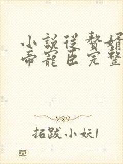 小说从赘婿到女帝宠臣完整版未删减小说