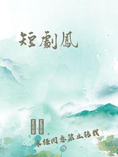 短剧凤