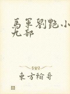 马军刘艳小说第九部